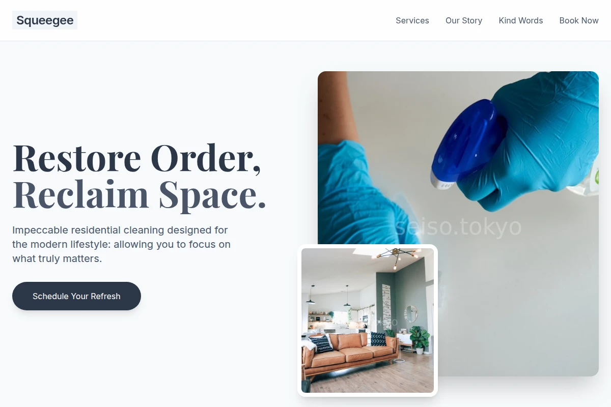 Squeegee House Cleaning
